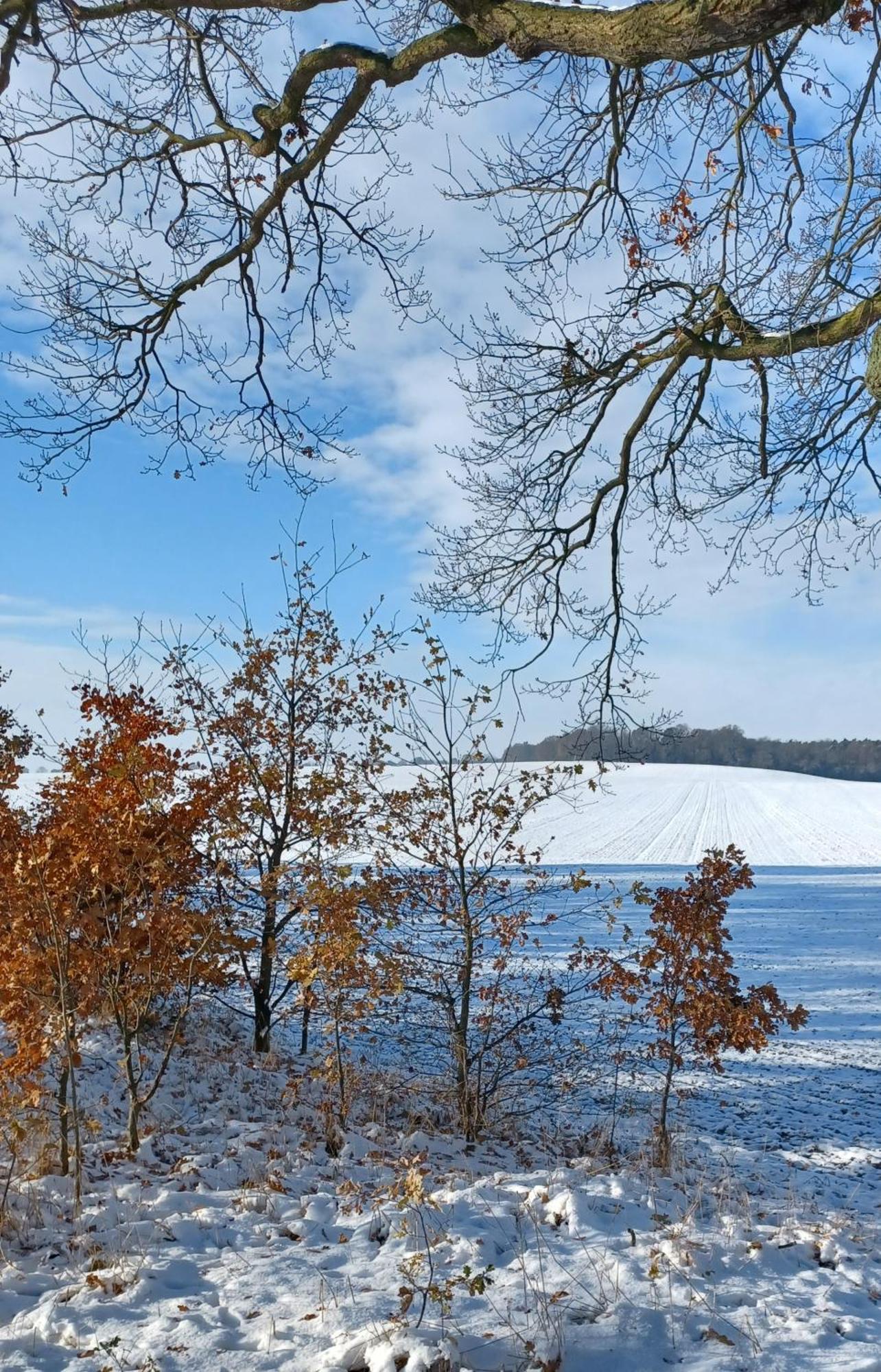 Vila Waldblick Cavertitz Exteriér fotografie